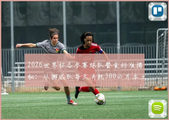 2026世界杯各参赛球队餐食标准揭秘：从挪威队每天消耗300公斤本土三文鱼，看顶级运动队如何用膳食保障战力